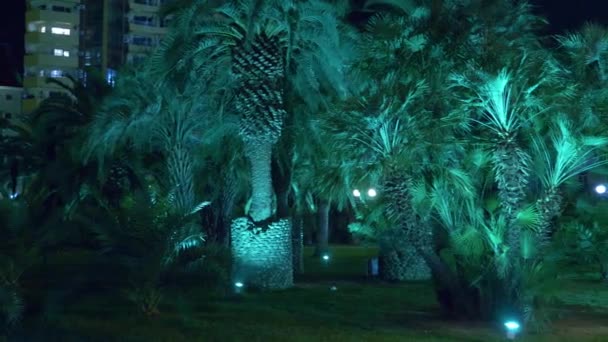Noční tropického parku s palmami v letovisku s nočním osvětlením. 4k. — Stock video