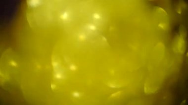 Arka plan - canlı renkler, bulanıklık, altın parlama defocused. mor arka plan. 4 k. kopya alanı,