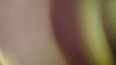 Arka plan - canlı renkler, bulanıklık, renk parlama defocused. 4 k. kopya alanı,