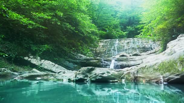 Cachoeira de montanha na floresta. 4k, câmera lenta — Vídeo de Stock