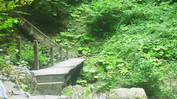 Un puente de madera y una escalera en la selva tropical. 4k — Vídeos de Stock