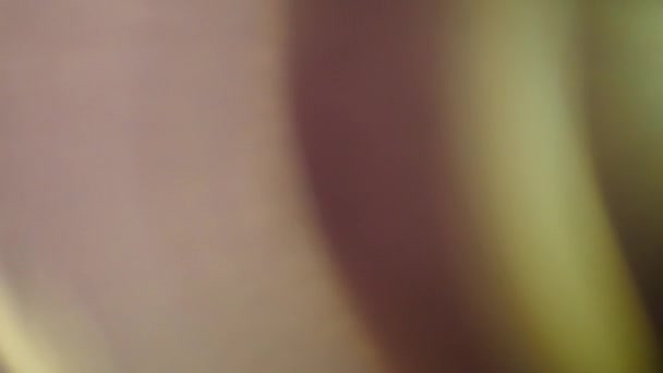 Fundo Abstrato Desfocado - Cores vivas, borrão, brilho de cor. 4K. espaço de cópia , — Vídeo de Stock