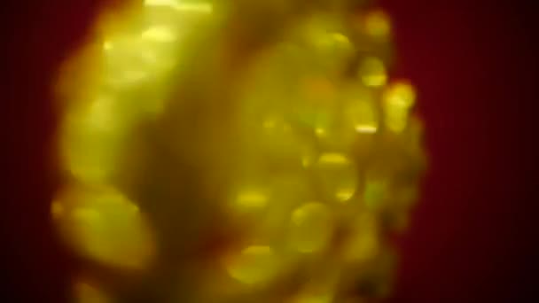 Расслабленный абстрактный фон - яркие цвета, размытость, яркий цвет. 4k. копировальное пространство, красный фон, золотая снежинка — стоковое видео