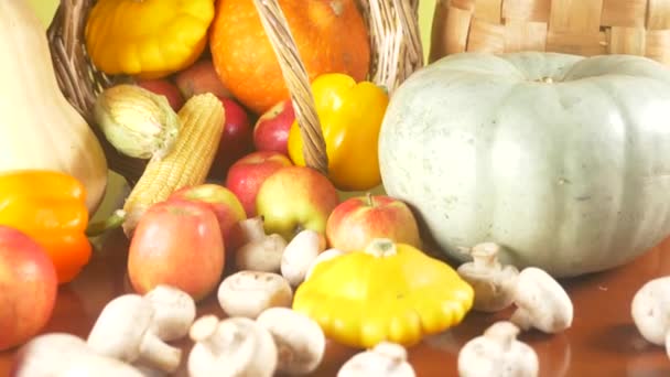 Colorful still-life. Autumn harvest. 4k. moving focus. close-up — Stock Video