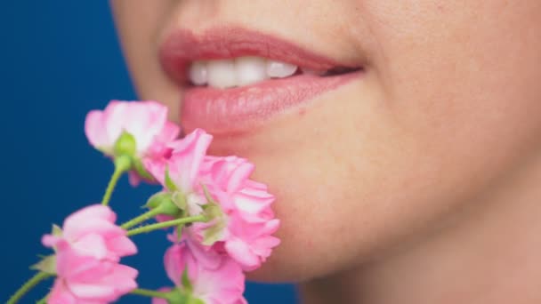 Крупный план, женские губы без макияжа, девушка нюхает розы. на синем фоне. 4k, slow motion — стоковое видео