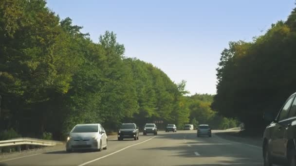 Blick Aus Der Windschutzscheibe Des Autos Bewegung Auf Der Straße — Stockvideo