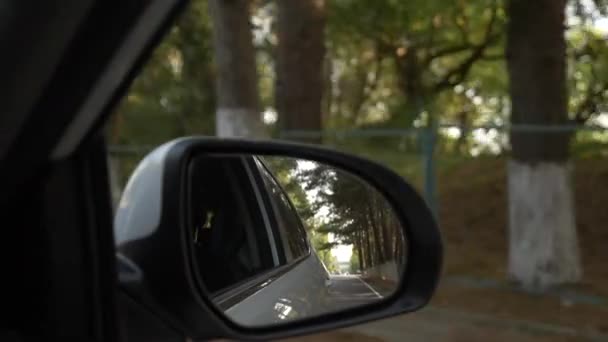 Kijk uit de achteruitkijkspiegel, wanneer de auto langs de weg in de zomer passeert. 4k, slow-motion-video schieten — Stockvideo