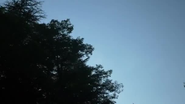 Blick aus der Windschutzscheibe des Autos. Bewegung auf der Straße a-147, Tag, 22. August 2018. redaktion. 4k, Zeitlupe — Stockvideo