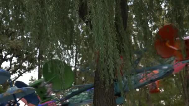 Close-up van een tak en een juniper fruit op een achtergrond van een wazig carrousel draait rond. 4k, slow-motion-video schieten. — Stockvideo