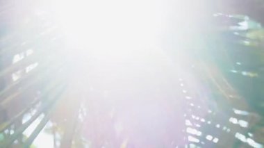 palmiye gökyüzüne karşı bırakır. Güneş parlamayı. 4k