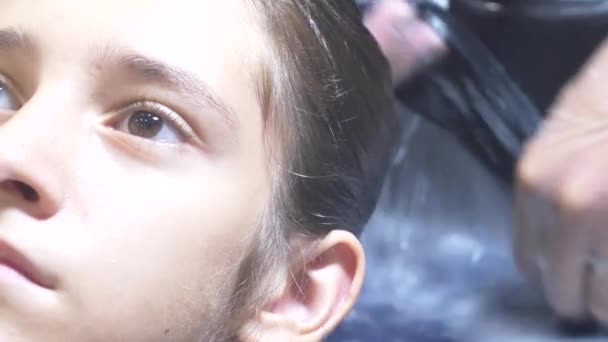 Close-up, Cabeleireiro profissional. processo de pintar o cabelo de uma menina morena com um tónico tonificante para o cabelo. Cor azul. cabeça de lavagem — Vídeo de Stock