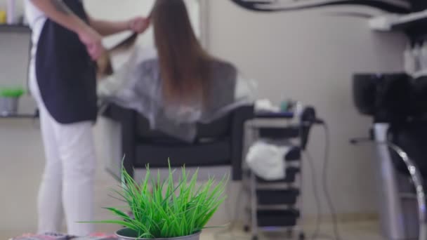 Close-up, Cabeleireiro profissional. processo de pintar o cabelo de uma menina morena com um tónico tonificante para o cabelo. secagem de cabelo com secador de cabelo, câmera lenta — Vídeo de Stock