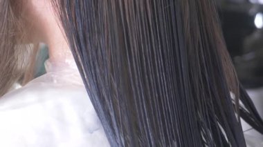 yakın çekim, profesyonel kuaför. saç için tonlama bir tonik esmer bir kızla saç boyama işlemi. Mavi renk.
