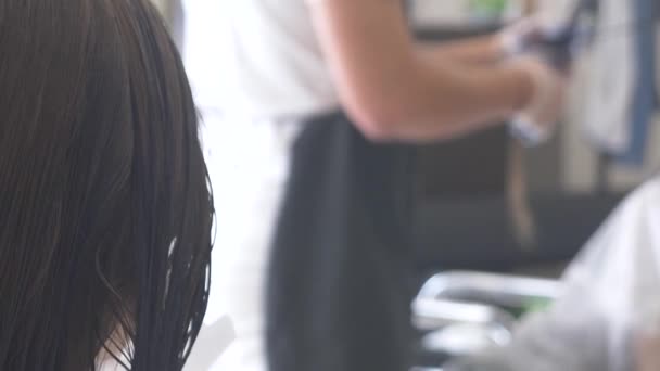 Close-up, Cabeleireiro profissional. processo de pintar o cabelo de uma menina morena com um tónico tonificante para o cabelo. Cor azul. turvação — Vídeo de Stock