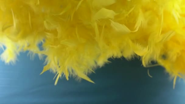 Yellow cloud of feathers. close-up macro. Selective focus, blurred focus, abstraction. super slow motion — Stock Video