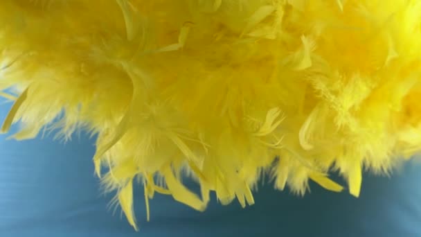 Nuage jaune de plumes. macro close-up. Focus sélectif, focus flou, abstraction. super ralenti — Video