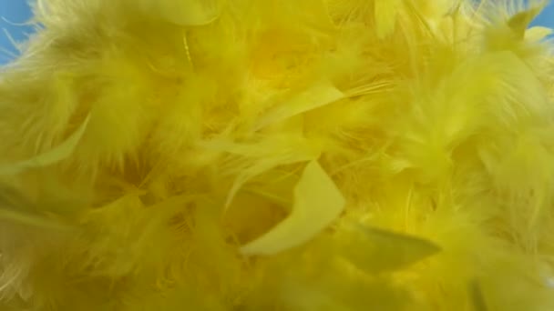 Yellow cloud of feathers. close-up macro. Selective focus, blurred focus, abstraction. super slow motion — Stock Video