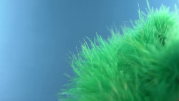 Nuage vert de plumes. macro close-up. Focus sélectif, focus flou, abstraction. au ralenti. fond de couleur . — Video