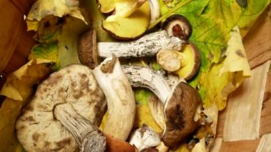 bir hasır sepet, portre, mantar mantar kavramı toplamak. 4k