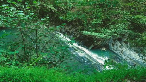 Горный водопад в лесу. 4k, slow motion — стоковое видео