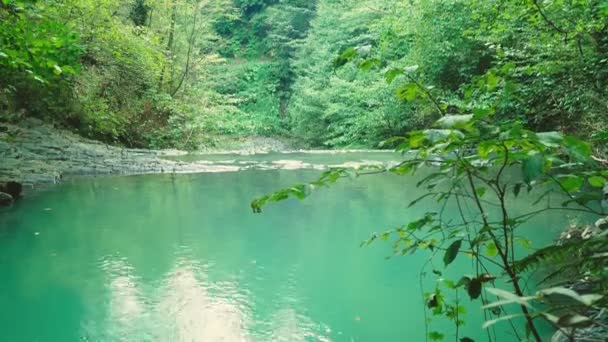 Гірський водоспад у лісі. 4k, повільний рух — стокове відео