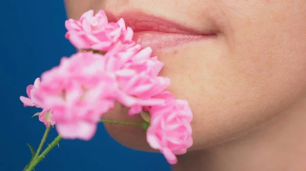 Primo piano, labbra femminili senza trucco, la ragazza annusa rose. su sfondo blu — Foto Stock