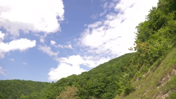 在一个多云的夏日里, 从车窗上欣赏山地景观、积云和树木. — 图库照片