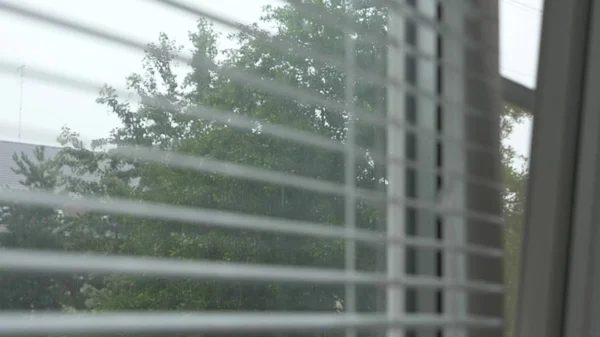 Blick auf die Straße bei Regen durch die Jalousien am Fenster. — Stockfoto