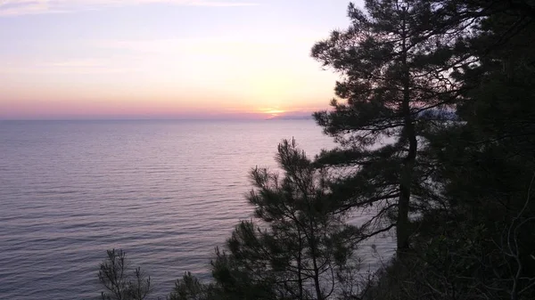 Vue paysage de la plage sous les pins et mer bleue calme au coucher du soleil . — Photo