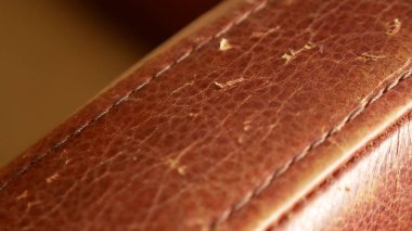 bir kedi pençeleri tarafından şımarık bir koltuk. kedi pençeleri üzerinde sandalye ve döşeme gelen çizikler. yakın çekim,