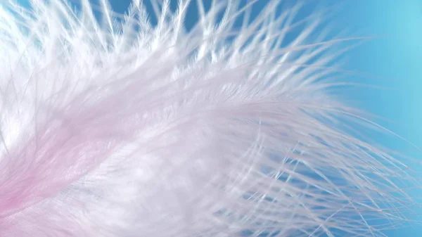 Pink feather close-up macro. Selective focus, blurred focus, abstraction.