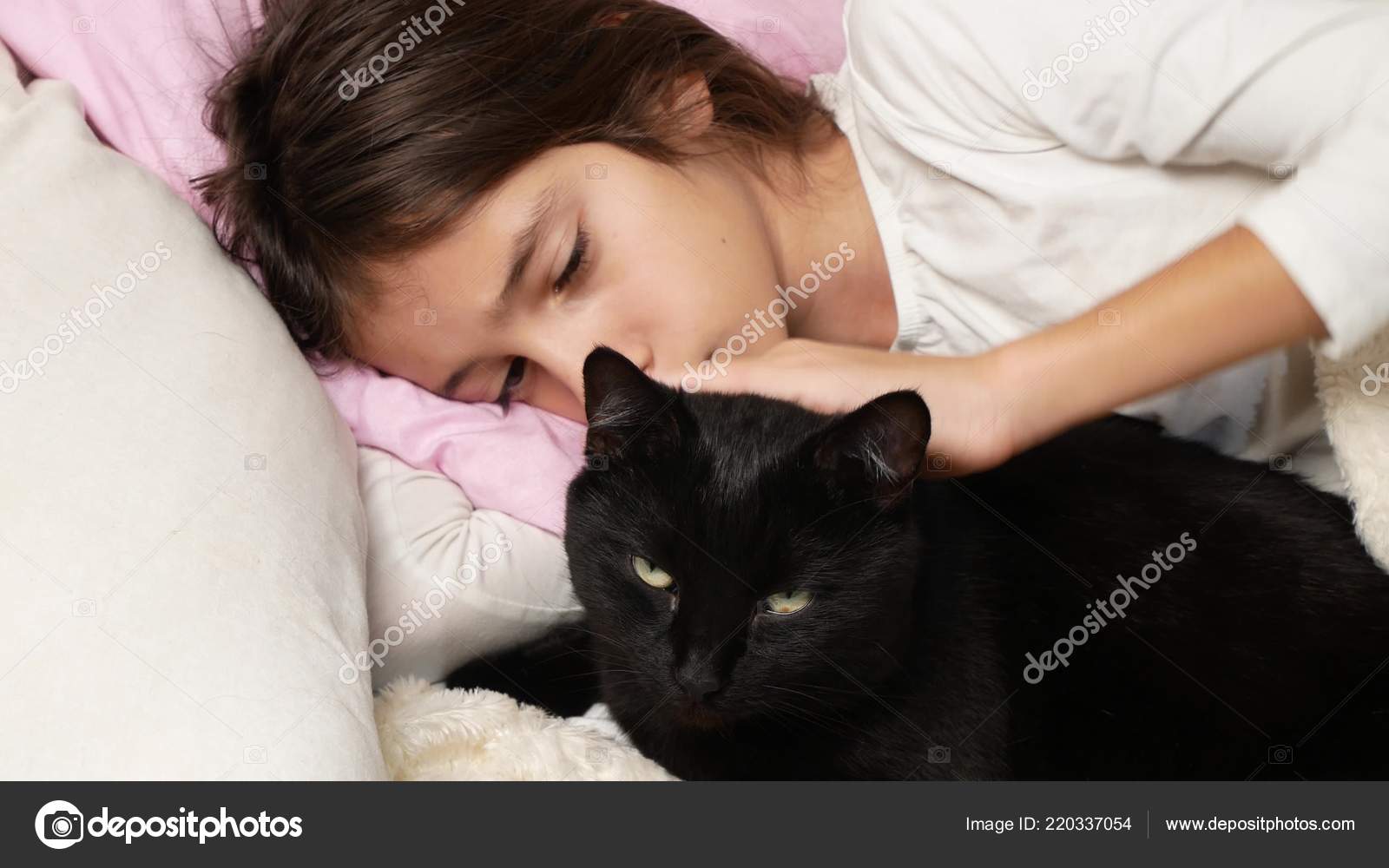 chlupatá těhotná černá kočička