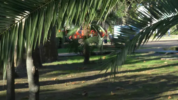 Пальмовый лист на фоне проспекта, где люди с детьми ходят в ясный солнечный день — стоковое фото