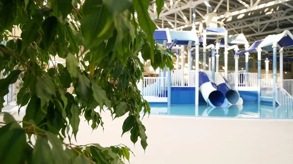 Luxury resort swimming pool with beautiful clean blue water. Tropical trees in the resort pool — Stock Photo, Image