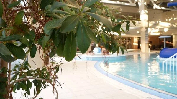 Lyxiga resort pool med vacker ren blå vatten. Tropiska träd i poolen — Stockfoto