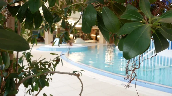 Piscina resort de luxo com bela água azul limpa. Árvores tropicais na piscina do resort — Fotografia de Stock