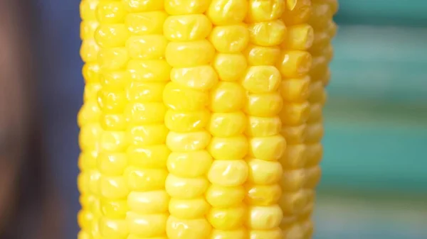 Corn on the cob kernels close up. the ear of boiled corn spinning around its axis — Stock Photo, Image