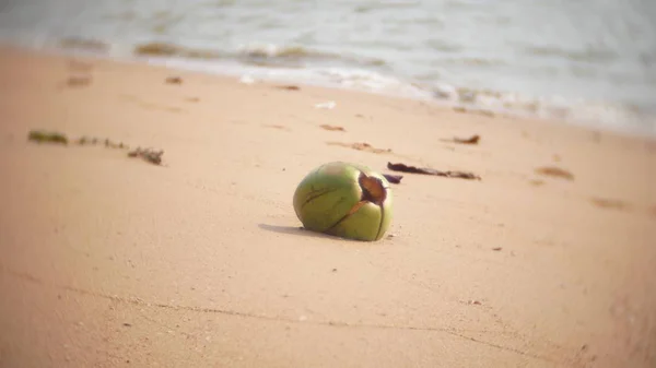 Coconut on the shoreline of the beach.The waves move the coconut on a tropical beach. close-up — Stock Photo, Image