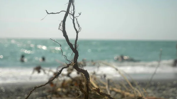 Das Konzept einer Umweltkampagne. Nahaufnahme. ein Haken, den das Meer während eines Sturms an Land warf. Im Hintergrund Menschen am Strand. Unschärfe. — Stockfoto