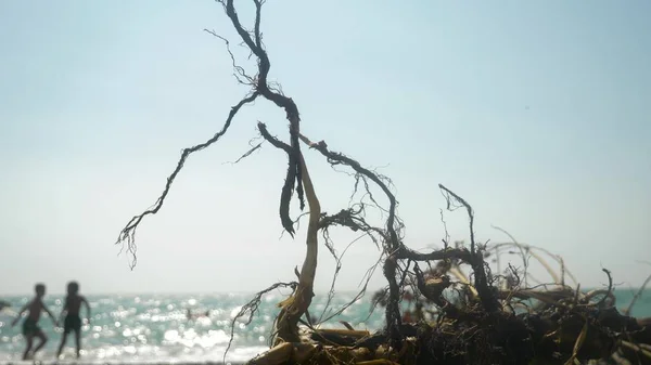 Das Konzept einer Umweltkampagne. Nahaufnahme. ein Haken, den das Meer während eines Sturms an Land warf. Im Hintergrund Menschen am Strand. Unschärfe. — Stockfoto