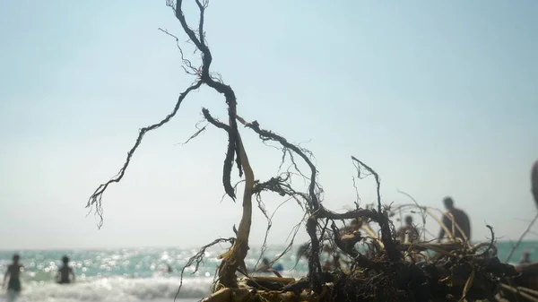 Das Konzept einer Umweltkampagne. Nahaufnahme. ein Haken, den das Meer während eines Sturms an Land warf. Im Hintergrund Menschen am Strand. Unschärfe. — Stockfoto