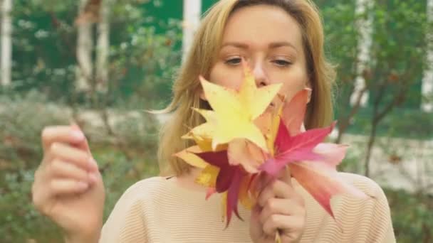 Young blonde woman walks through the autumn park, she collects fallen maple colorful leaves — Stock Video