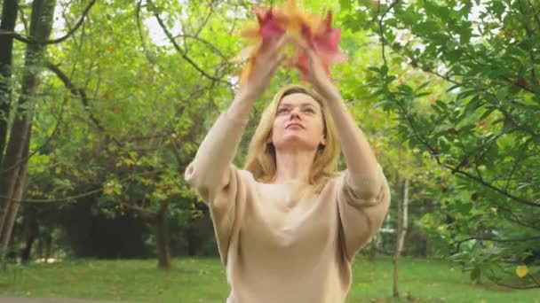 Unga blonda kvinnan går igenom höstens parken, hon samlar fallna lönn färgglada löv — Stockvideo