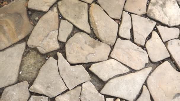Texture of separate stones on the ground. paved walkway. — Stock Video