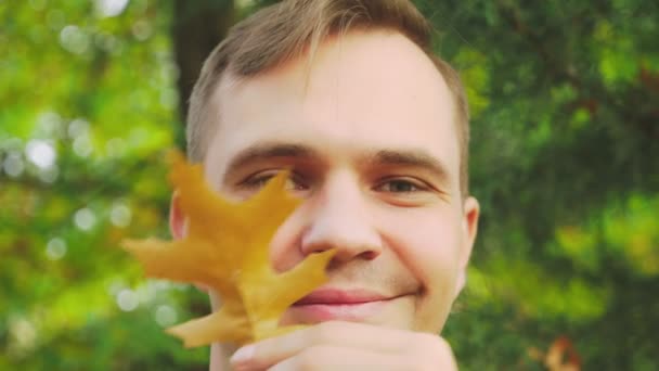 Young man walks through the autumn park, he collects fallen maple colorful leaves — Stock Video