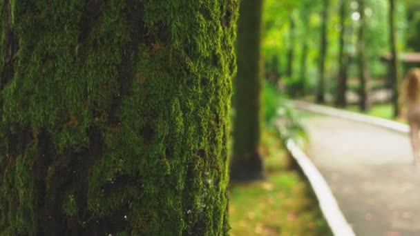 Jeune femme blonde marche à travers le parc d'automne, elle recueille des feuilles colorées d'érable tombées — Video