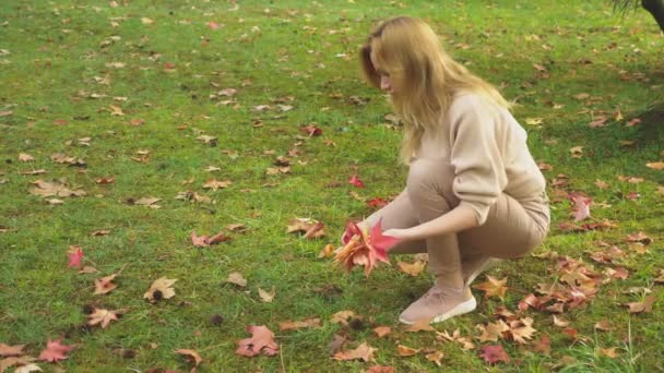 Молодая блондинка гуляет по осеннему парку, собирает опавшие кленовые разноцветные листья — стоковое видео
