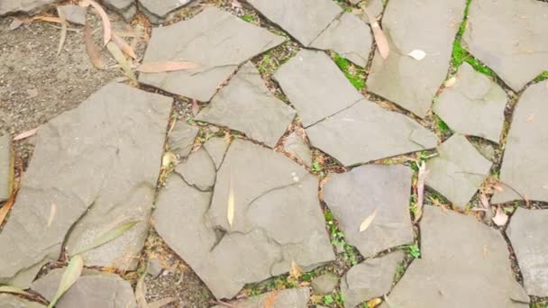 Textura samostatných kamenů na zemi. vydlážděné chodníku. — Stock video