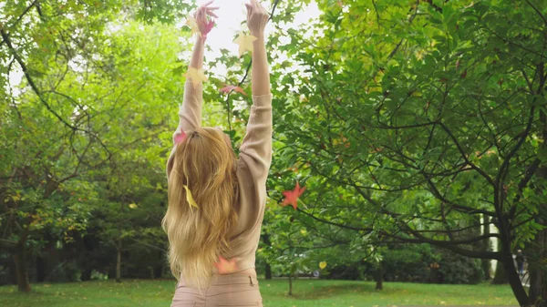 年轻的金发女子走在秋季公园, 她收集堕落枫叶五颜六色的叶子 — 图库照片