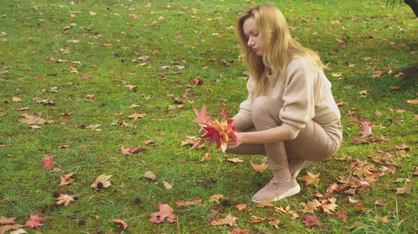 Sarışın genç kadın sonbahar parkta yürüyor, o düşmüş akçaağaç renkli yaprakları toplar — Stok fotoğraf